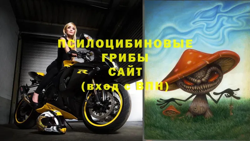 Псилоцибиновые грибы Magic Shrooms  omg   Динская 